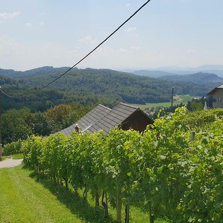 Zidanica Meglic - Vineyard Cottage Meglic Trebnje Exterior foto