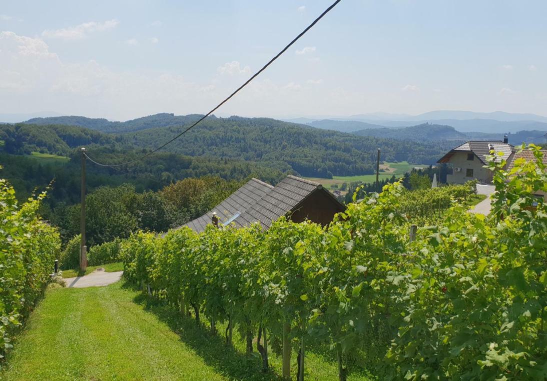 Zidanica Meglic - Vineyard Cottage Meglic Trebnje Exterior foto