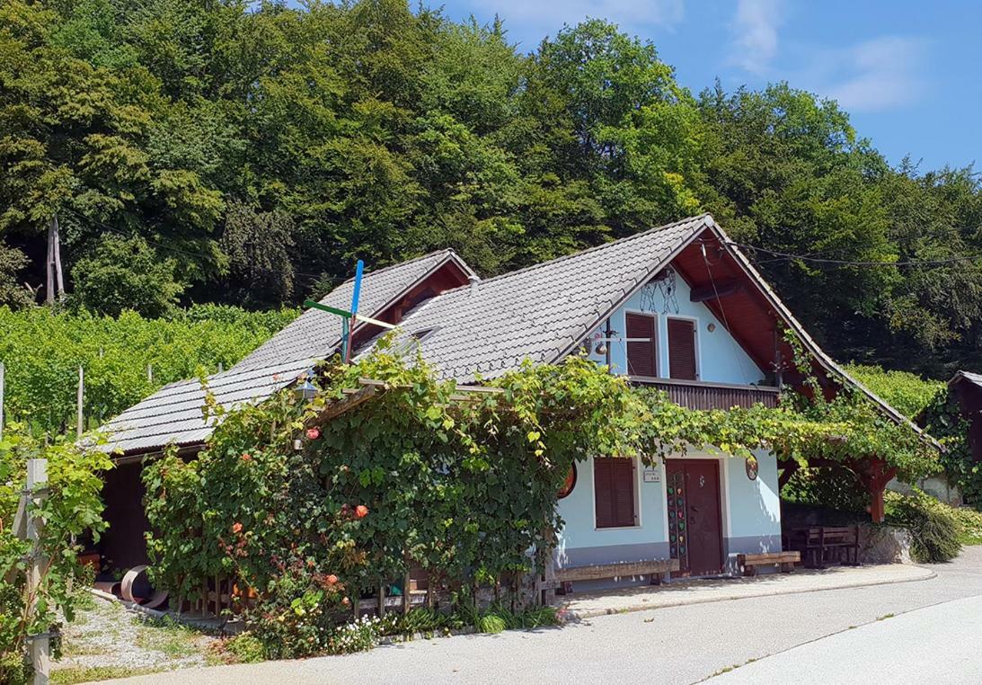 Zidanica Meglic - Vineyard Cottage Meglic Trebnje Exterior foto