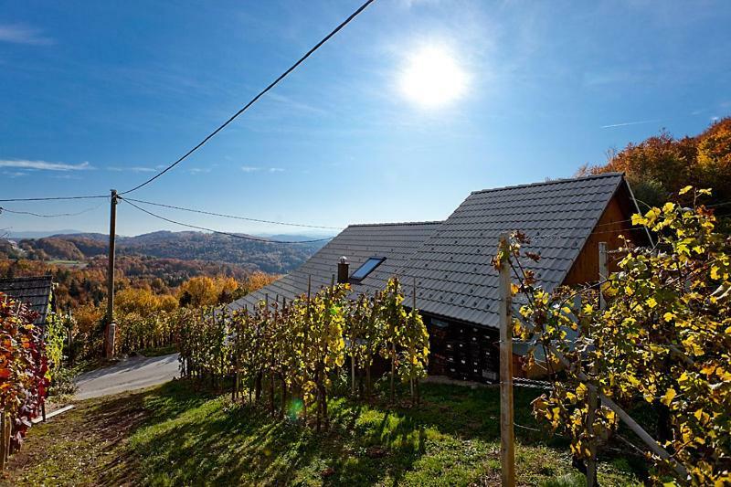 Zidanica Meglic - Vineyard Cottage Meglic Trebnje Exterior foto